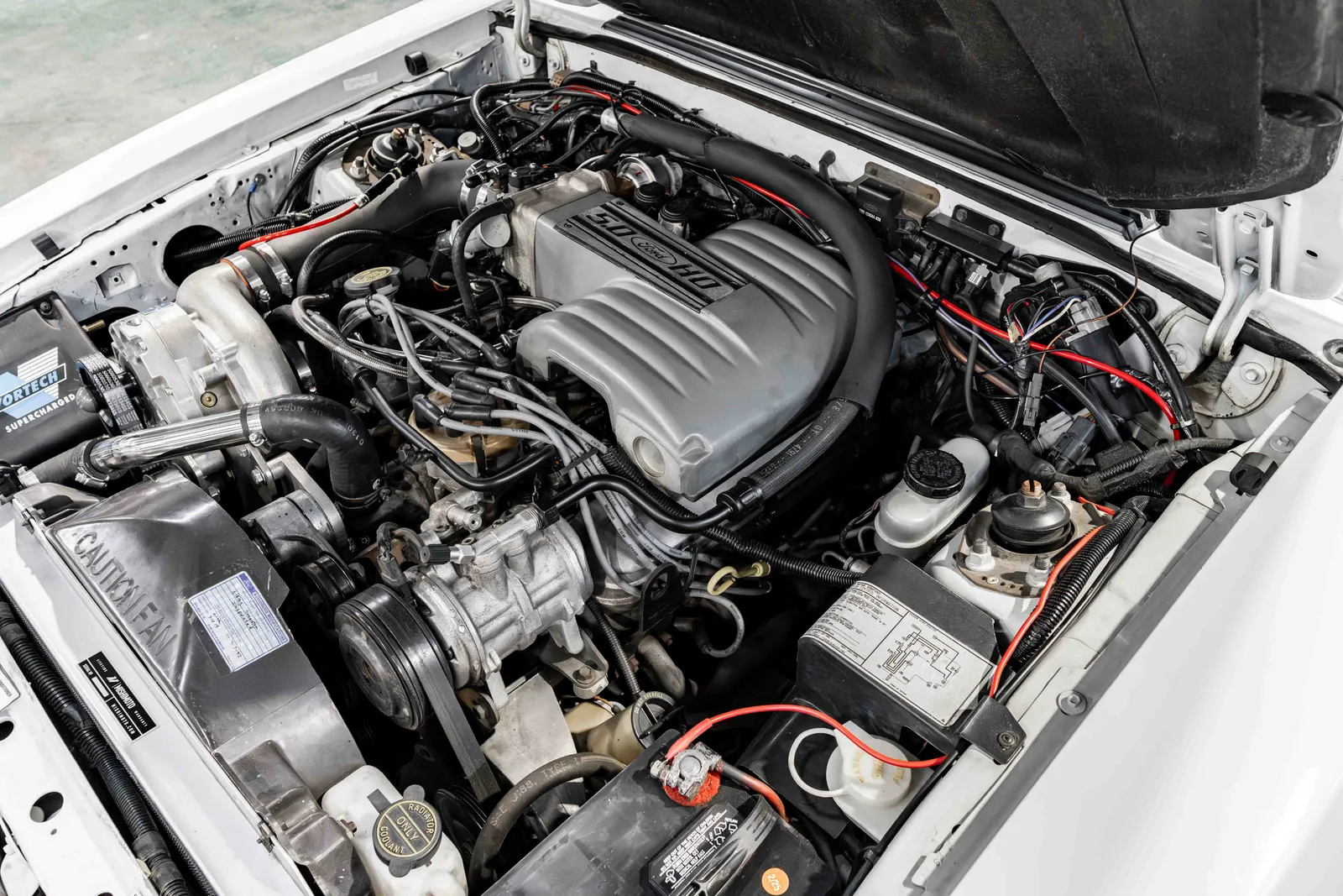 1989-Ford-Mustang-25th Anniversary-White-235432-42.jpg